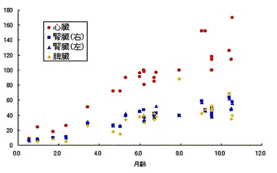 月齢と臓器重量