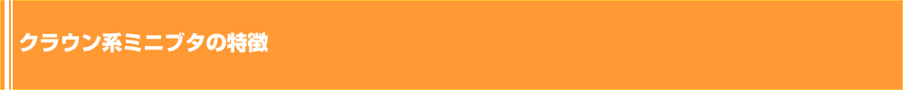 クラウン系ミニブタの特徴