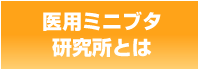 医用ミニブタ研究所とは