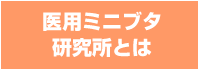 医用ミニブタ研究所とは