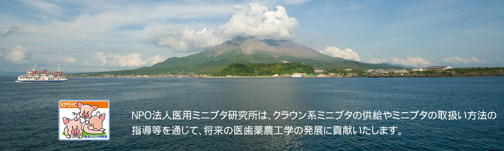 NPO法人医用ミニブタ研究所は、クラウン系ミニブタの供給やミニブタの取扱い方法の指導等を通じて、将来の医歯薬農工学の発展に貢献いたします。