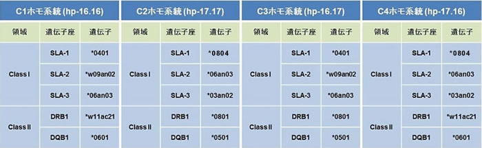 MHC確立クラウン系ミニブタ
