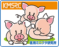 KMSRC 医用ミニブタ研究所ロゴ